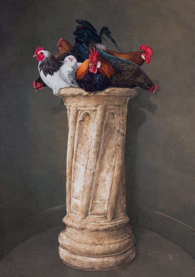 Hühner, Augen nach unten von Tim Hayward