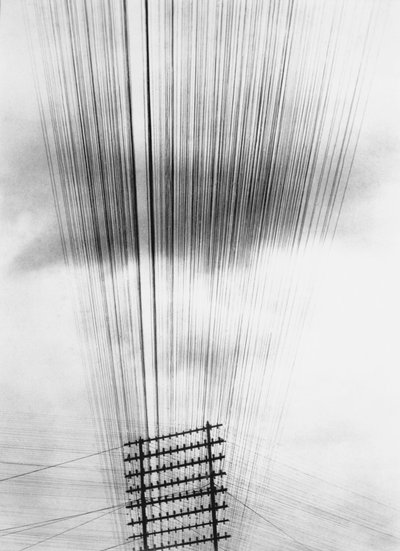 Telefonleitungen, Mexiko, 1925 von Tina Modotti