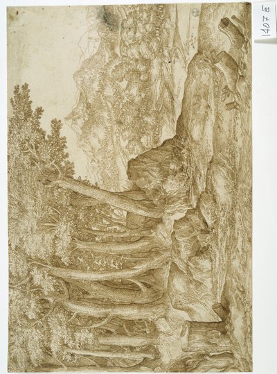 Landschaft von Titian (c.1488 1576)