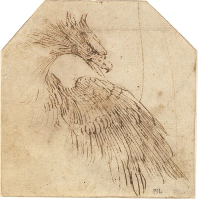 Ein Adler von Titian