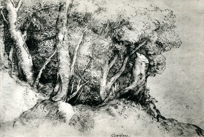 Waldlandschaft, um 1516-1518, 1937 von Tiziano Vecelli