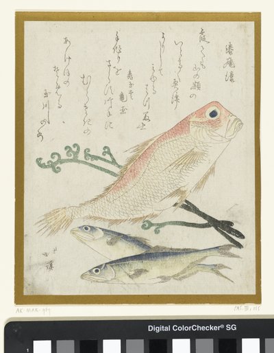 Drei Fische und Adlerfarn von Totoya Hokkei