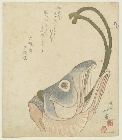 Kopf eines Lachses von Totoya Hokkei