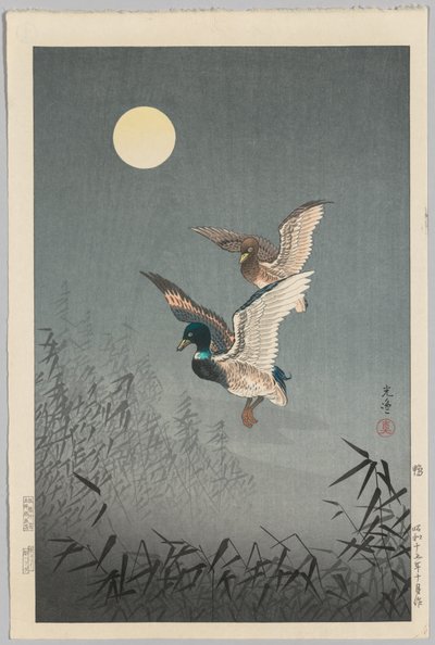 Ansichten von Tokio: Enten von Tsuchiya Kōitsu