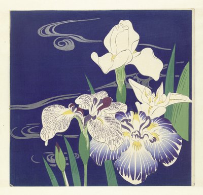 Iris von Tsukioka Kogyo