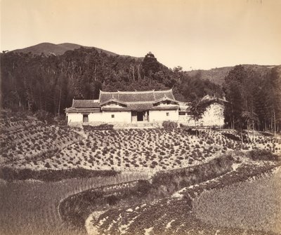 Teefeld und Josshaus in Peling, ca. 1869 von Tung Hing.