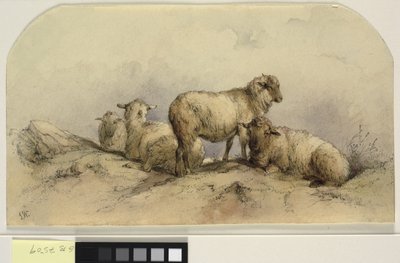 Schafe in einer Landschaft von Ubekendt KKSgb7508 KKSgb7512