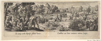 1 von 8 Tafeln über Jagd und Fischerei von Unbekannt
