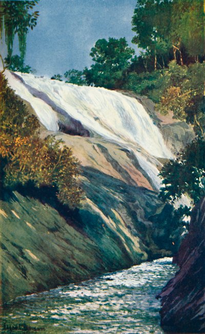 Ein Wasserfall in Tijuca, Rio, 1914 von Unbekannt