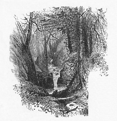 Ein Zufluss zum See, 1883 von Unbekannt