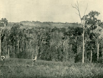 Ein viktorianischer Bergbauernhof, 1901 von Unbekannt