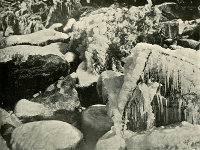 Eine Winterlandschaft in Neuengland, 1901 von Unbekannt