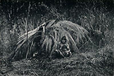 Eine Yaghan-Hütte in Fuegia, 1911 von Unbekannt