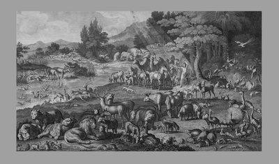 Adam benennt die Schöpfung, 1818 von Unbekannt