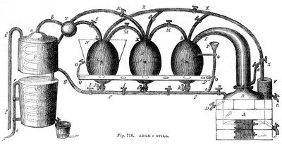 Adams still, 1886 von Unbekannt