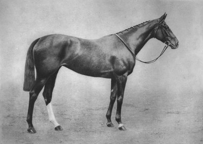 Americus Mädchen, 1911 von Unbekannt