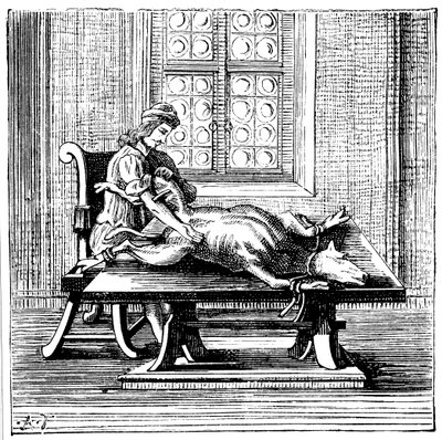 Tier-zu-Mensch-Bluttransfusion, 1679 von Unbekannt