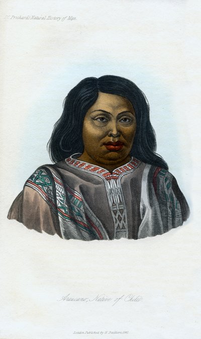 Araucano, Ureinwohner von Chile, 1848 von Unbekannt