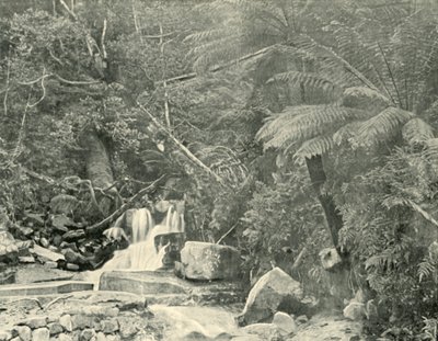 Am St. Crispins Brunnen, 1901 von Unbekannt