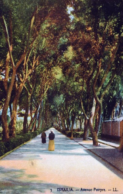 Avenue Poirpre, Ismailia, Ägypten, um 1900 von Unbekannt