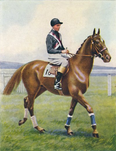 Schlachtschiff, Jockey: B. Hobbs, 1939 von Unbekannt