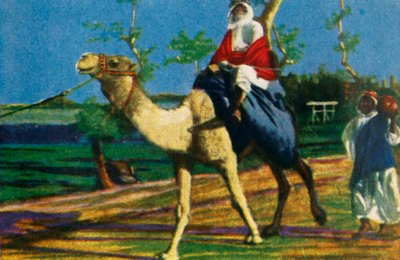 Beduine reitet auf einem Kamel, Ägypten, ca. 1928 von Unbekannt