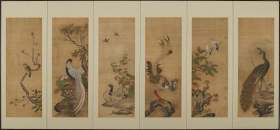 Vögel und Blumen, Edo-Periode, 18. Jahrhundert von Unbekannt