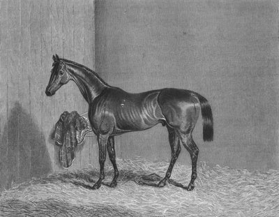 Bloomsbury, 1836-1861, 1911 von Unbekannt