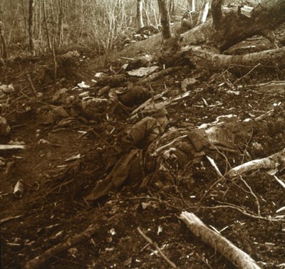 Leichen, Les Éparges, Nordfrankreich, 1915 von Unbekannt
