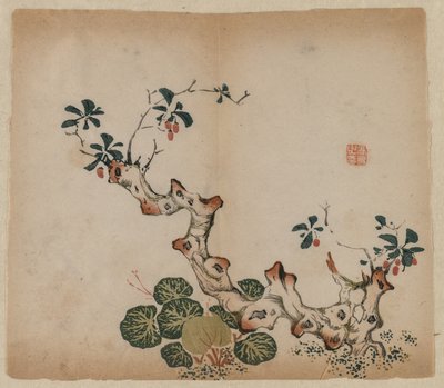 Verzweigter Baumstumpf, 1368-1644 von Unbekannt