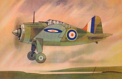 Brewster Buffalo Jagdflugzeug, ca. 1944 von Unbekannt