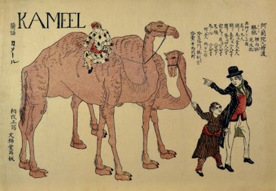 Kamele mit niederländischen Führern, ca. 1821 von Unbekannt