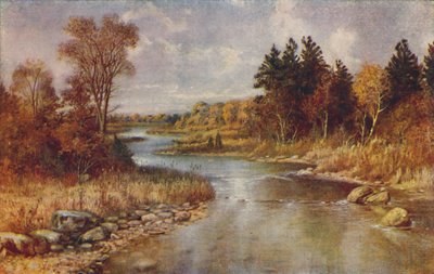 Kanadische Waldszene, 1924 von Unbekannt