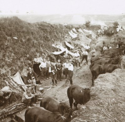 Kavallerie, ca. 1914-1918 von Unbekannt
