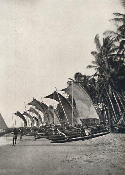 Ceylonesische Seefischerboote mit Ausleger, 1926 von Unbekannt