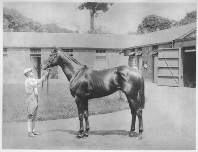 Chandon, 1911 von Unbekannt