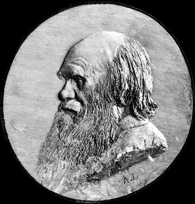 Charles Darwin, 1882 von Unbekannt