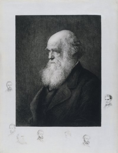 Charles Darwin, englischer Naturforscher, ca. 1860er von Unbekannt