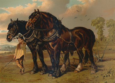 Clydesdale-Hengst und Stute, um 1879 von Unbekannt