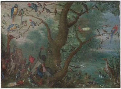 Konzert der Vögel von Unbekannt