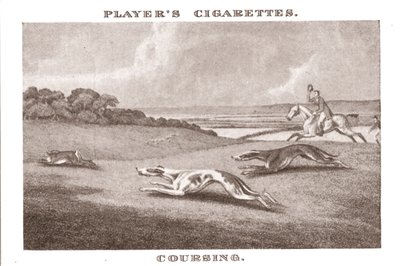 Coursing von Unbekannt