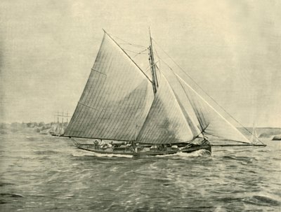 Kreuzfahrt in Port Jackson, 1901 von Unbekannt