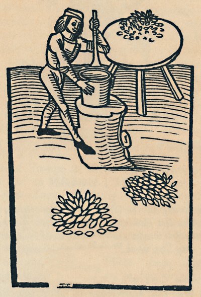 Kräuter in einem Mörser zerstoßen, 1947 von Unbekannt