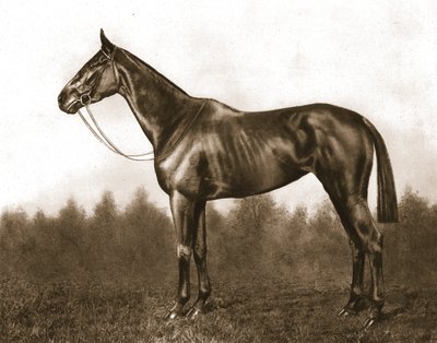 Züchtig, 1911 von Unbekannt