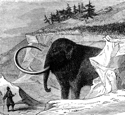 Entdeckung eines Wollmammuts, 1779 c1870 von Unbekannt