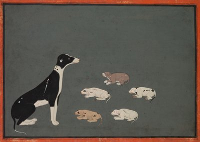 Hund mit Welpen, ca. 1780 von Unbekannt