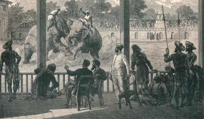 Elefantenkampf in Baroda, 1896 von Unbekannt