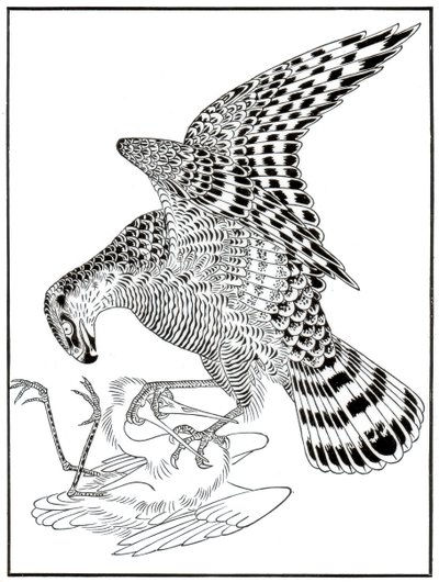 Falke und Reiher, 16. Jahrhundert, 1886 von Unbekannt