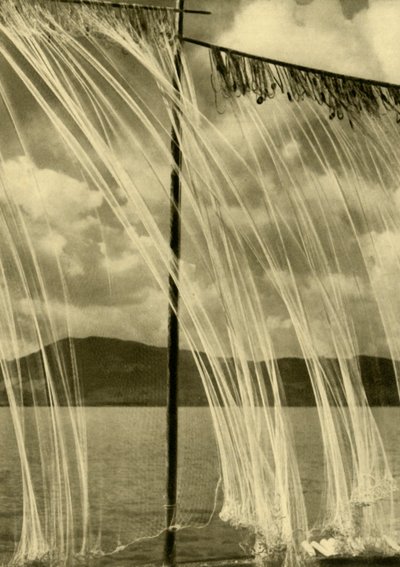 Fischernetze, Attersee, Oberösterreich von Unbekannt