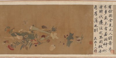 Blumen, Früchte, Muscheln und Insekten, 1368-1644 von Unbekannt
